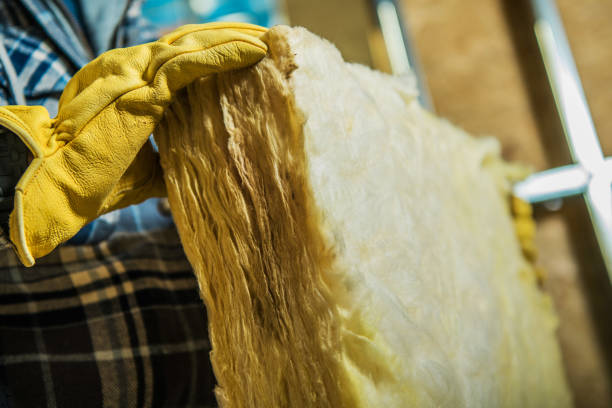 Best Insulation Maintenance and Repair in Plymouth, MN